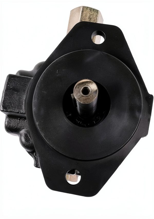 28 GPM Two Stage Hydraulic Log Splitter Pump by Flynsu for Wood-7