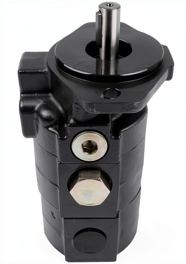 28 GPM Two Stage Hydraulic Log Splitter Pump by Flynsu for Wood-4